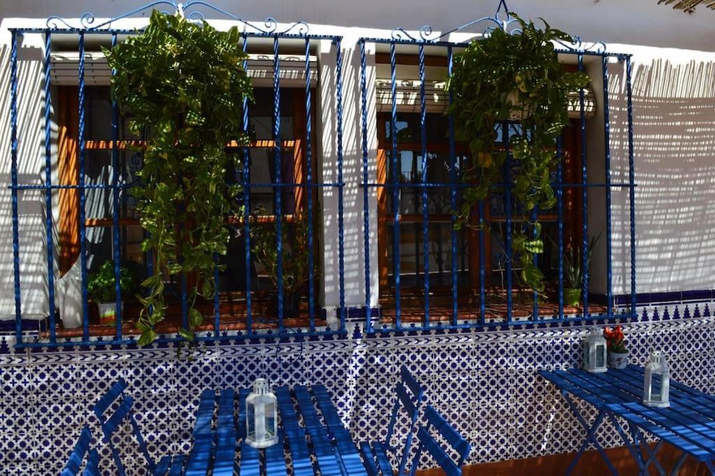 Appartement En Centro Con Vistas A La Plaza Alameda De Hercules - Hasta 7 Personas *